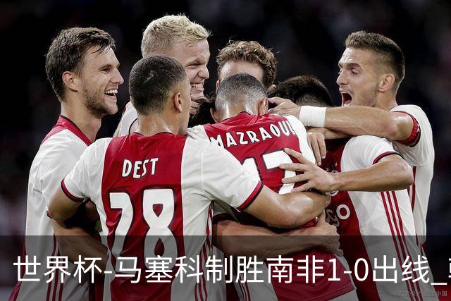 世界杯-马塞科制胜南非1-0出线 韩国积3分获小组第三待定