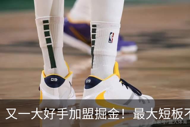 又一大好手加盟掘金！最大短板不复存在，硬刚马刺雷霆有戏了