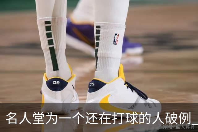 名人堂为一个还在打球的人破例 库里凭什么？