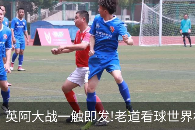 英阿大战一触即发!老道看球世界杯6连红领衔助红单