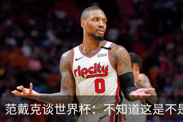 范戴克谈世界杯：不知道这是不是我在国家队的最后一届大赛