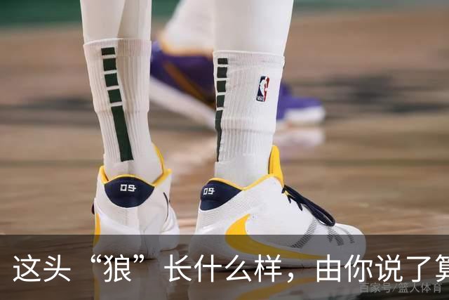 这头“狼”长什么样，由你说了算！璧山狼队吉祥物全城征集